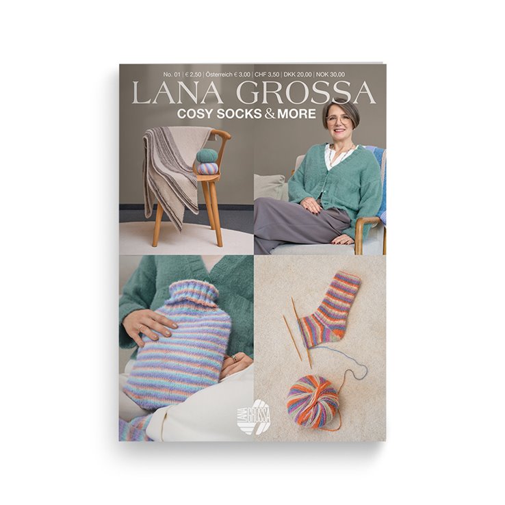 Cosy Socks & More Booklet - Edizione tedesca di Lana Grossa