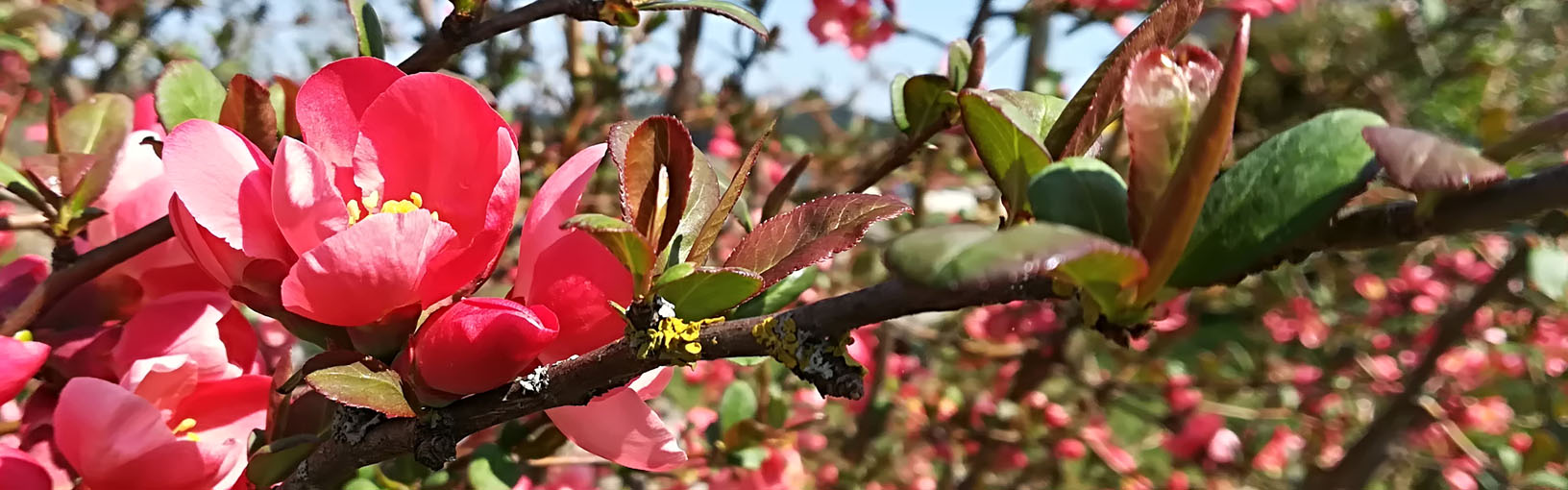 Negozio FILATI Contatto